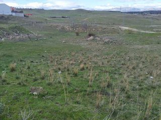 Terreno en venta en Molar (El)