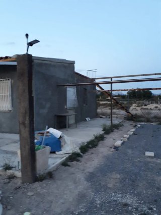 Terreno rústico con olivos