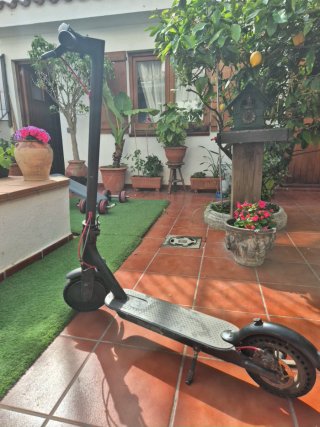 Patinete Eléctrico Xiaomi