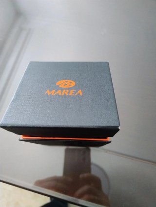 Reloj Marea Hombre Marrón y Dorado