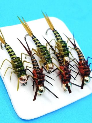 6 Ninfas StoneFly para pesca