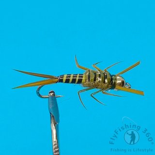 6 Ninfas StoneFly para pesca