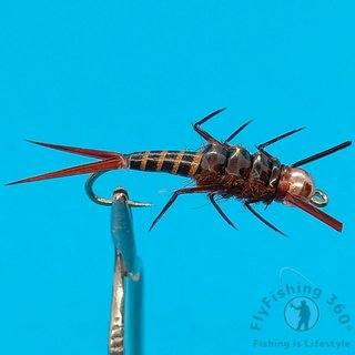 6 Ninfas StoneFly para pesca