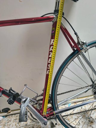 Bicicleta Razesa Reynolds 653