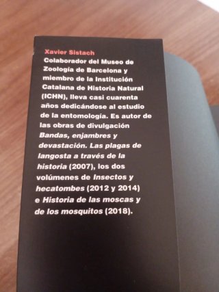 Pasión por los insectos ilustradoras, aventurer...