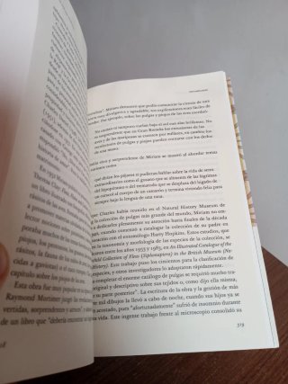 Pasión por los insectos ilustradoras, aventurer...