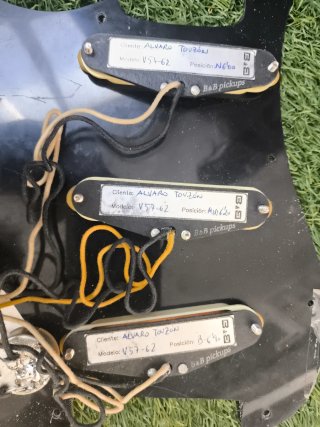 Placa Guitarra Stratocaster Pascual Brisa Negra