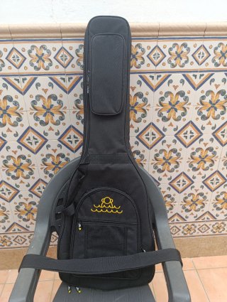 Oportunidad.Guitarra Eléctrica LTD 1000 DeLuxe .
