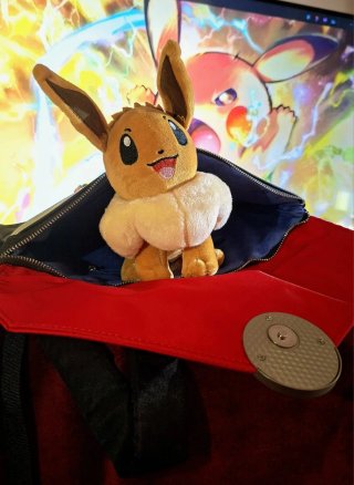 Mochila Pokémon Negra y Roja