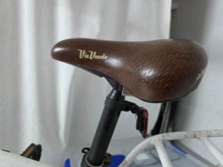 Bicicleta Plegable Blanca