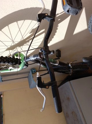 Bicicleta infantil negra y verde