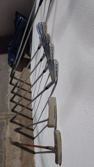 Juegos de palos de golf con fundas y carritos