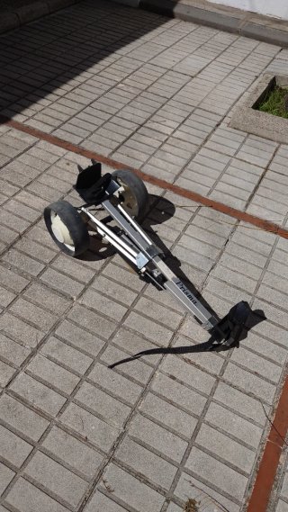 Juegos de palos de golf con fundas y carritos