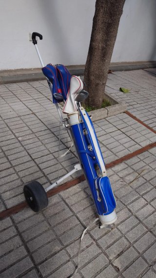Juegos de palos de golf con fundas y carritos