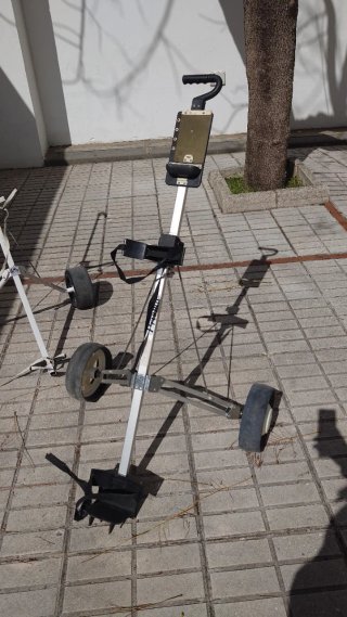 Juegos de palos de golf con fundas y carritos