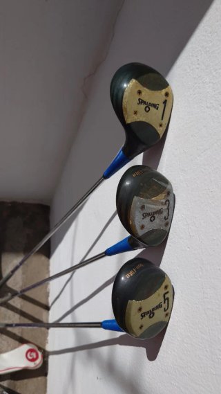 Juegos de palos de golf con fundas y carritos