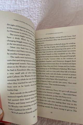 Harry Potter and the Chamber of Secrets - Gryff...