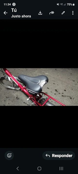Bicicleta de paseo marca cinzia