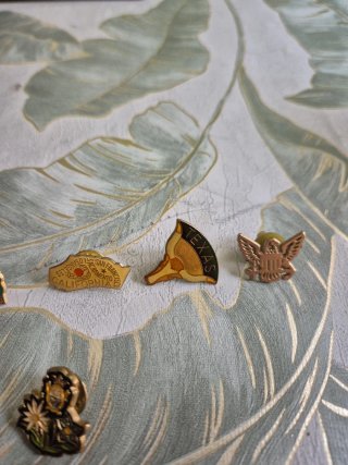 Colección Pins Vintage: Aragón, Aviación y más