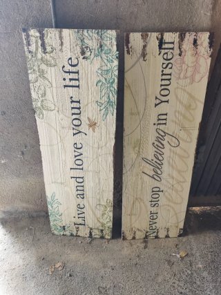 Cuadros de madera con uvas, mariposas