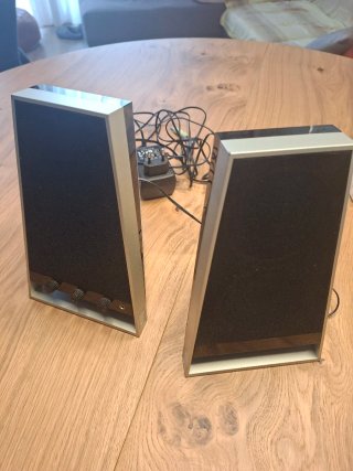 Altavoces Negro y Plata