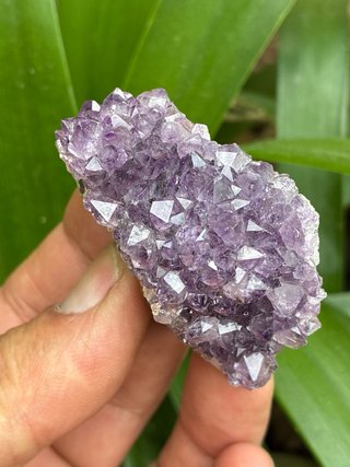 Amatista Morada Natural