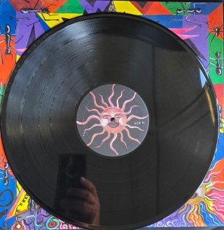 Vinilo Lions in Love - Álbum Debut