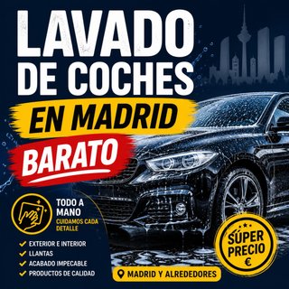 Lavado coche domicilio