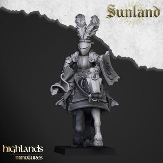 Caballeros de la Reiksguard - Highlands Miniatures