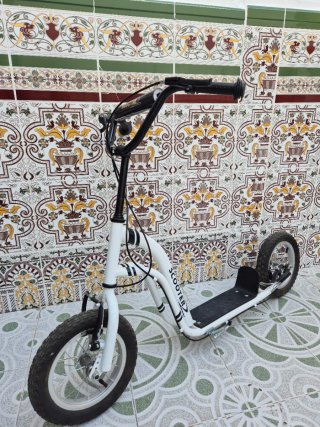 Patin con manillar y ruedas grandes