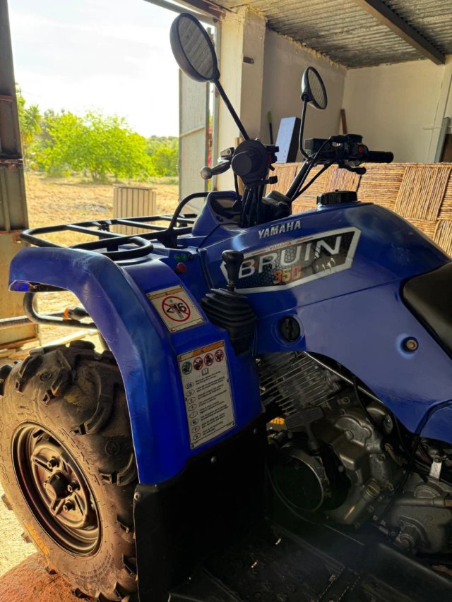 Yamaha Bruin 350