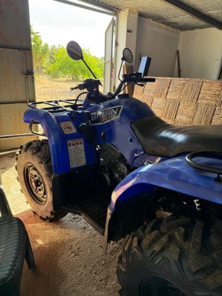 Yamaha Bruin 350