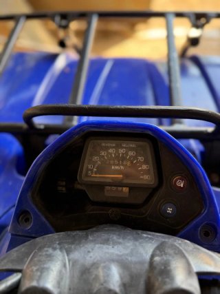 Yamaha Bruin 350