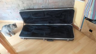 Estuche  Vintage  Stratocaster /Telecaster