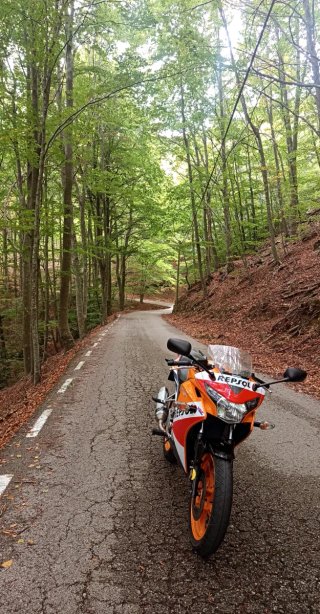 Honda CBR 125 Repsol( Se cambia por coche o moto )