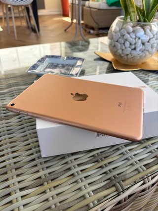 iPad Mini 5 64GB Wifi + Celular Dorado