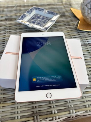 iPad Mini 5 64GB Wifi + Celular Dorado