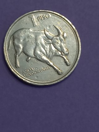Moneda 1 Piso Anoa Mindorensis 1990