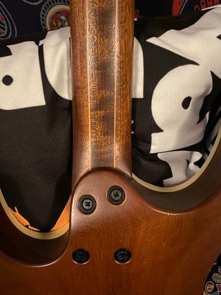 Mayones Setius Gothic 6 + Estuche