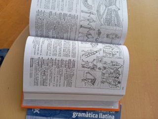 Diccionari il·lustrat llatí-català, català-llatí