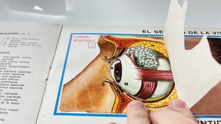 Album Recortable El Cuerpo Humano. MUY RARO