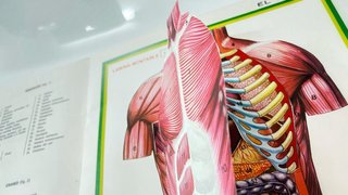 Album Recortable El Cuerpo Humano. MUY RARO