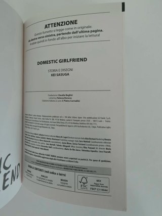 Domestic girlfriend 2