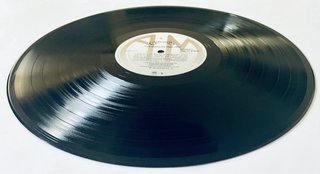 Carpenters - The Singles 1969-1973 | LP Vinilo