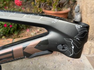 Cuadro mtb Trek Fuel EX Carbono 29