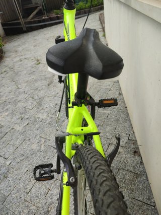 Bicicleta infantil 20 color verde neón