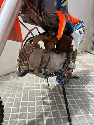 Pit Bike Rebel Master RM 125cc Motocross
