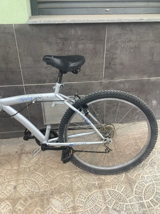Bicicleta plegable plateada