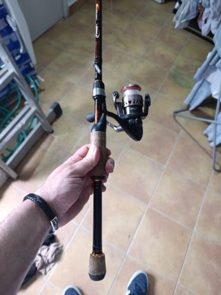Caña y carrete de pesca