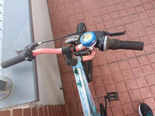 Bicicleta infantil Togano 20 azul
